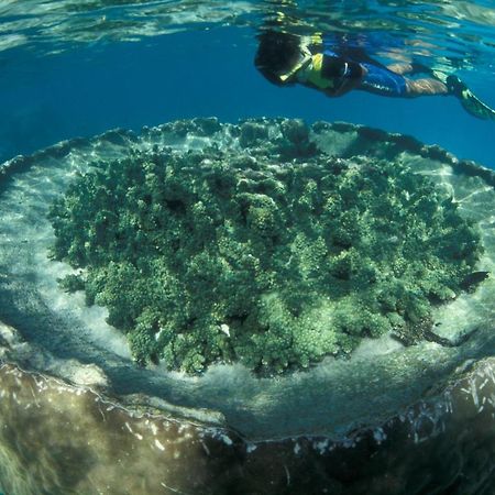 Sal Salis Ningaloo Reef Hotel Exmouth Buitenkant foto