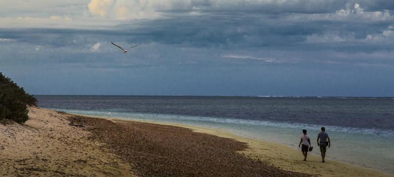Sal Salis Ningaloo Reef Hotel Exmouth Buitenkant foto